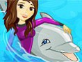 My dolphin show